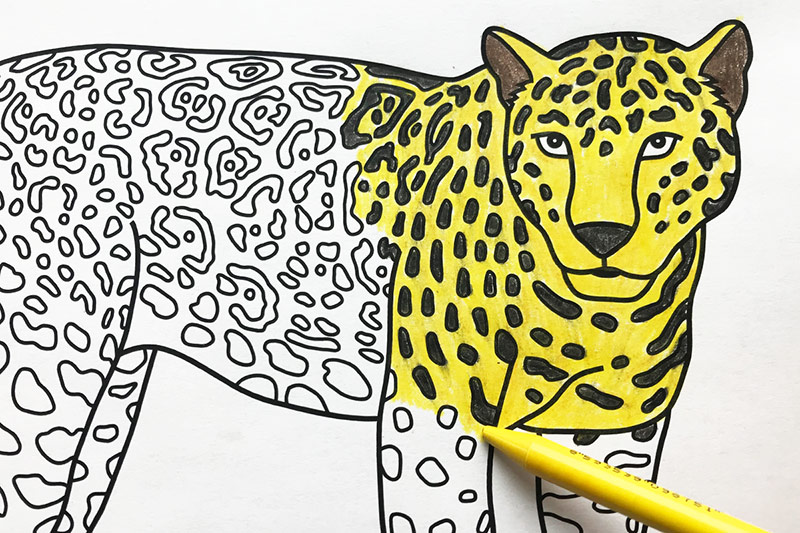 Jaguar Coloring Page
