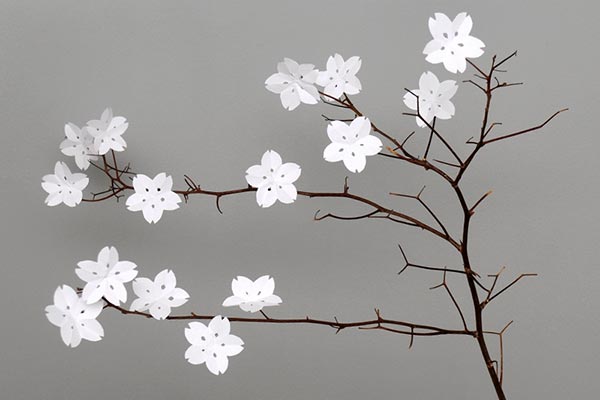 Paper Cherry Blossoms craft