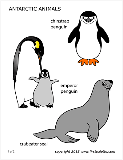 Printable Antarctic Polar Animals