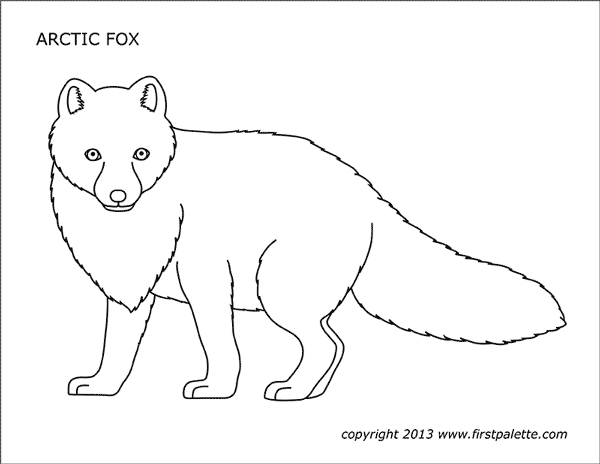 Printable Arctic Fox Coloring Page