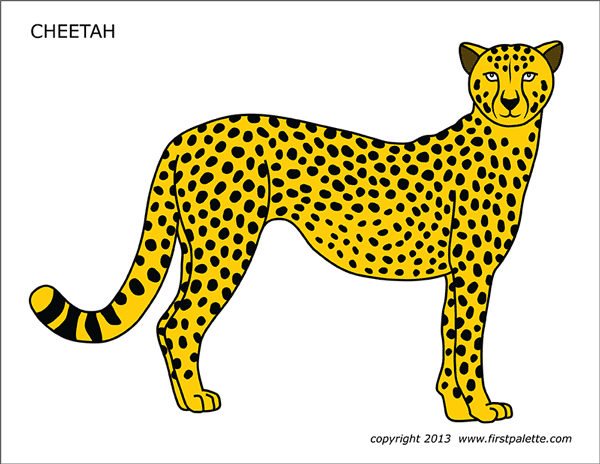 Printable Colored Cheetah