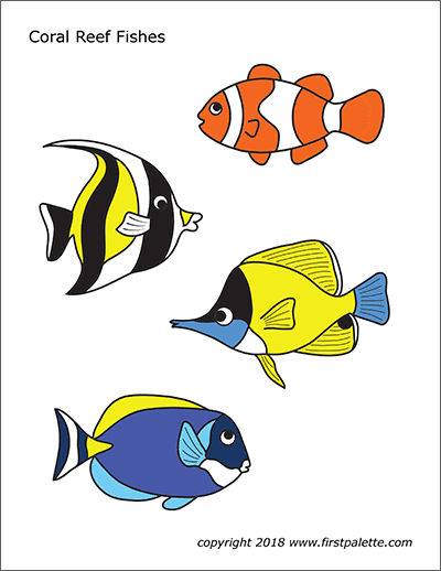 Printable Colored Coral Reef Fishes