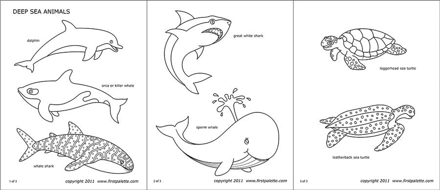 Printable Deep Sea Animals
