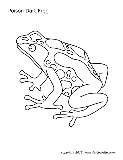 Printable Posion Dart Frog Coloring Page