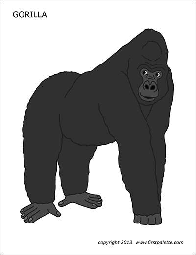 Printable Colored Gorilla