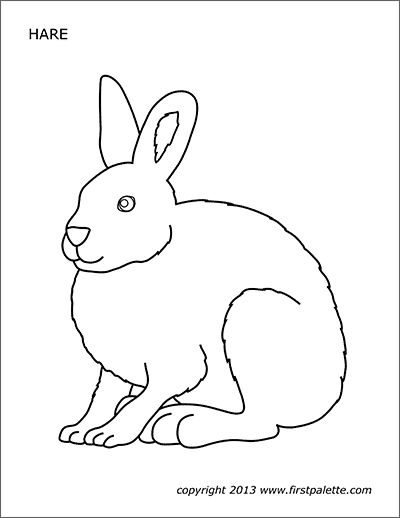 Printable Hare Coloring Page