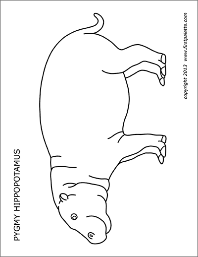 Printable Pygmy Hippopotamus