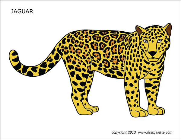 Printable Colored Jaguar