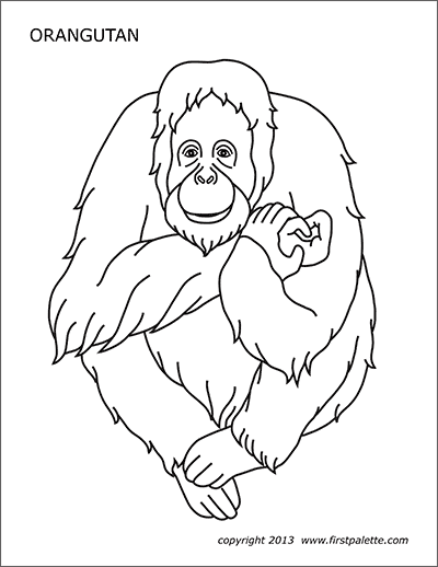 Printable Orangutan Coloring Page