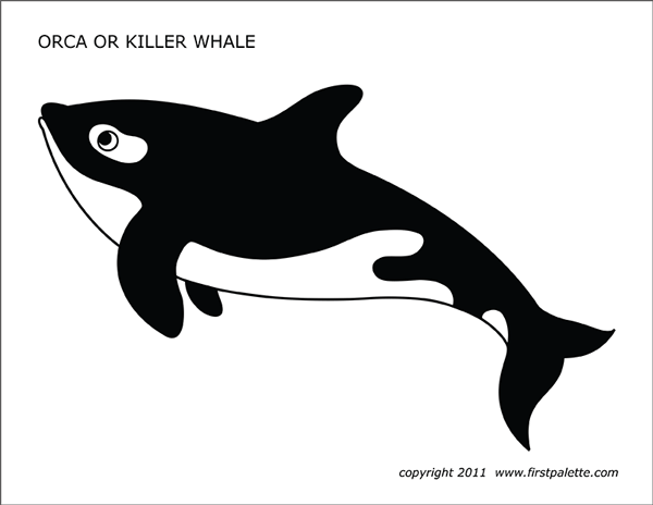 Printable Colored Orca or Killer Whale