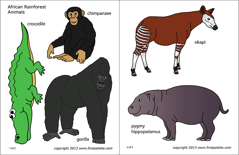 Printable Colored African Jungle or Rainforest Animals