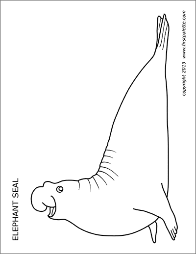 Printable Elephant Seal