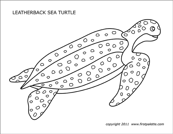 Printable Leatherback Sea Turtle Coloring Page