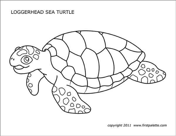 Printable Loggerhead Sea Turtle Coloring Page