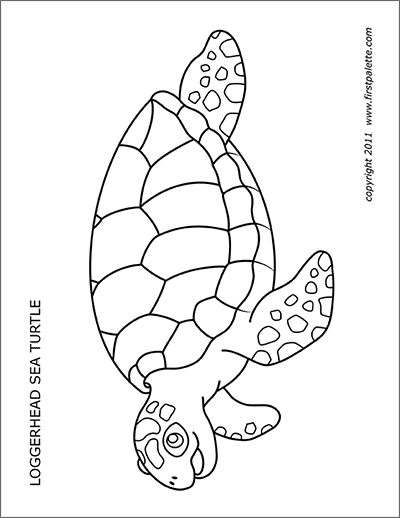 Printable Sea Turtles
