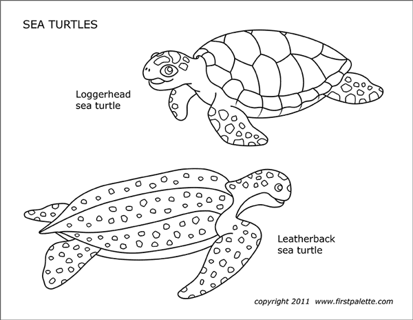 Printable Sea Turtles Coloring Page