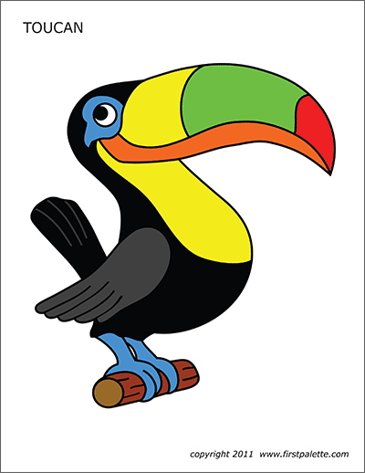 Printable Colored Toucan