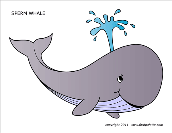 Printable Colored Sperm Whale