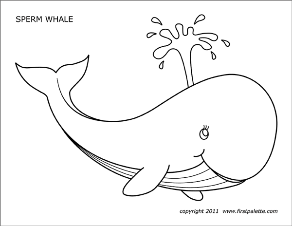 Printable Sperm Whale Coloring Page