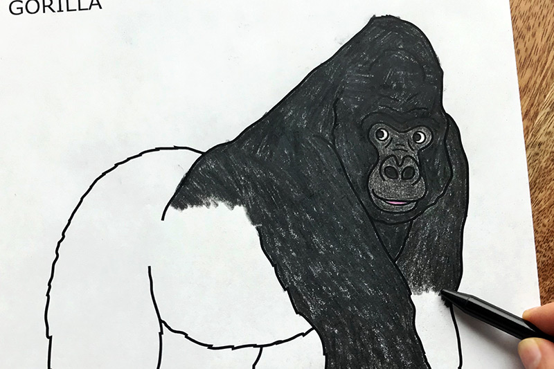 Gorilla Free Printable Templates Coloring Pages FirstPalette