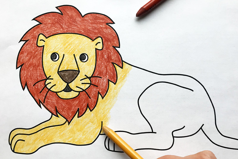 How to draw a Lion Face || Pencil Colour Drawing - YouTube