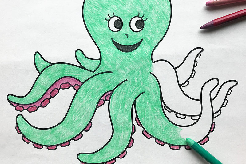 HOW TO DRAW AND COLOR A CUTE OCTOPUS FOR KIDS, EASY STEP BY STEP - YouTube