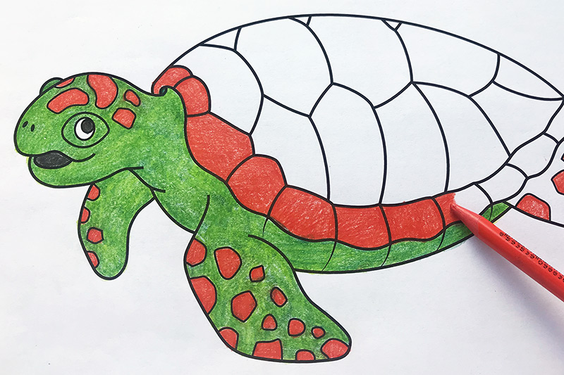 Printable Paper Turtle Craft
