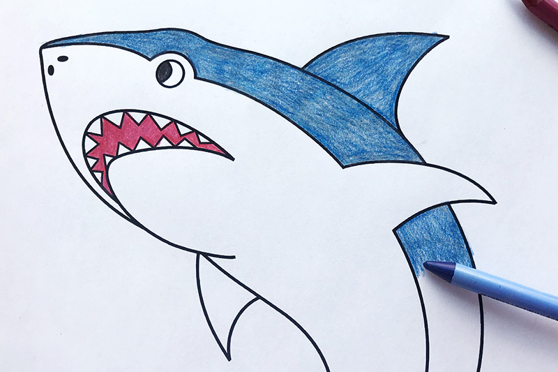 shark  free printable templates  coloring pages