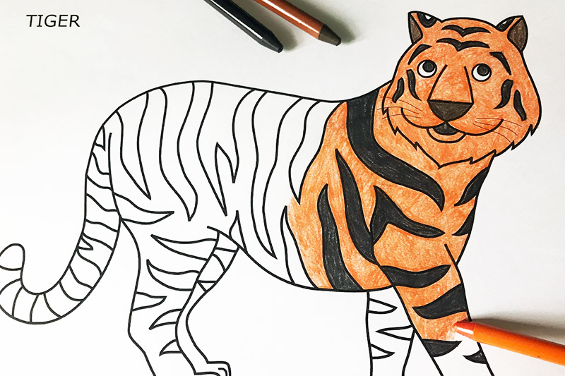 tiger print drawing