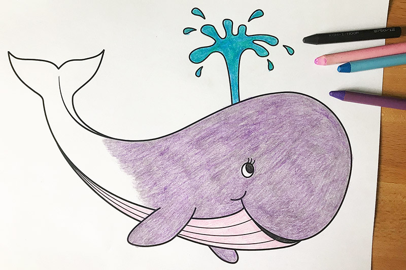 910 Whale Coloring Pages Pdf , Free HD Download