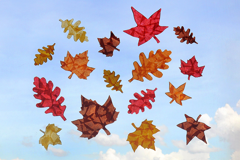 Fall Season- Coloring Page - Maple Leaf