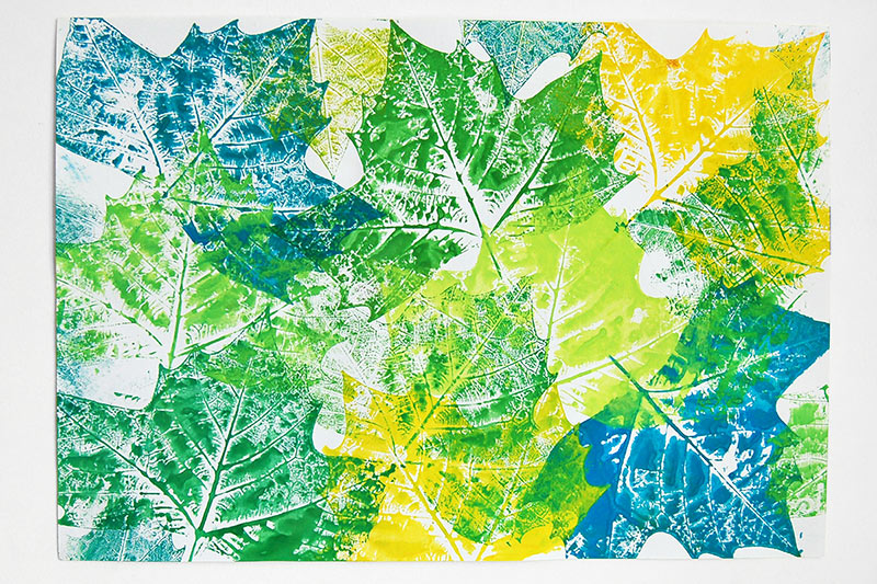 Discover 147+ leaf print drawing super hot vietkidsiq.edu.vn