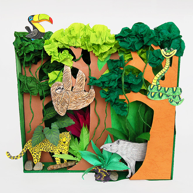 Rainforest Shoebox Diorama  Rainforest habitat, Rainforest, Habitats  projects