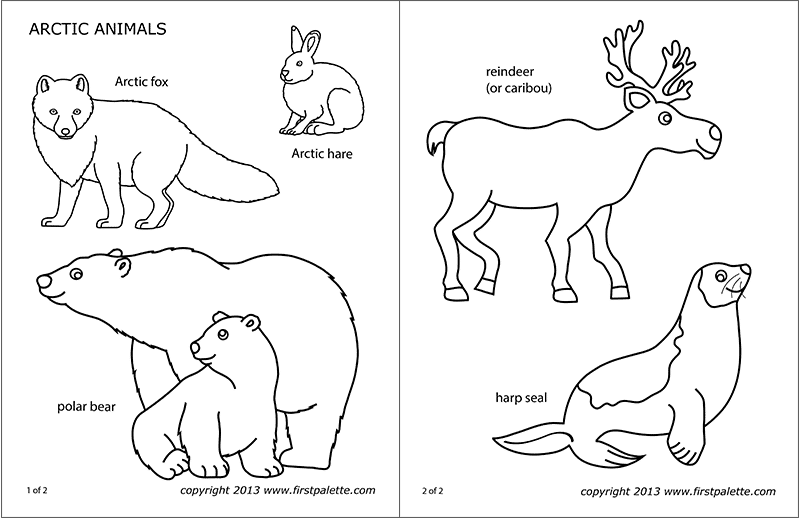 arctic-polar-animals-free-printable-templates-coloring-pages