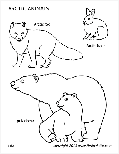 Polar Bear Free Printable Templates Coloring Pages FirstPalette com