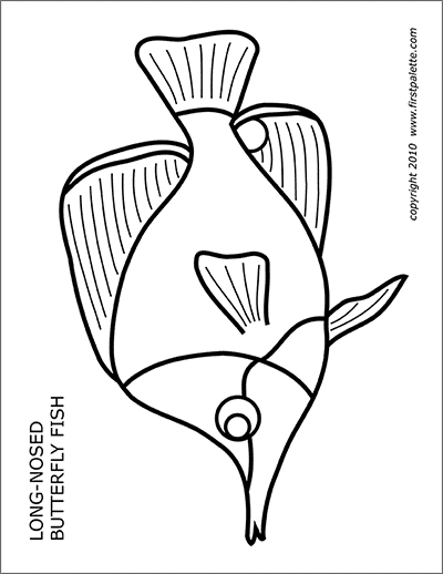 coral reef fishes  free printable templates  coloring