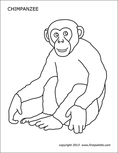 Orangutan | Free Printable Templates & Coloring Pages | FirstPalette.com