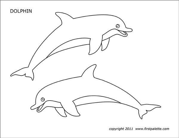 dolphin free printable templates coloring pages firstpalettecom
