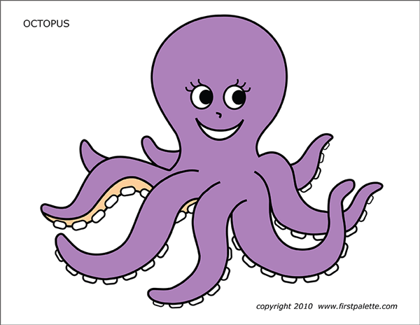 realistic octopus coloring page