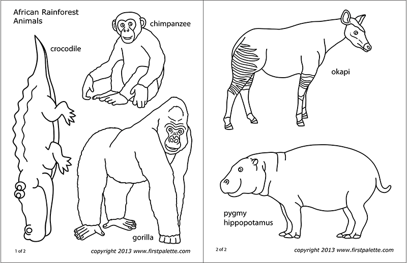 Printable Rainforest Animals