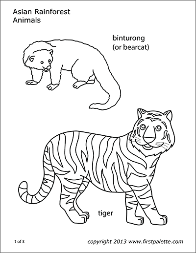 Coloring Page Tiger Printable - Tigers Free Printable Coloring Pages For Kids / Daniel tiger coloring pages to print.