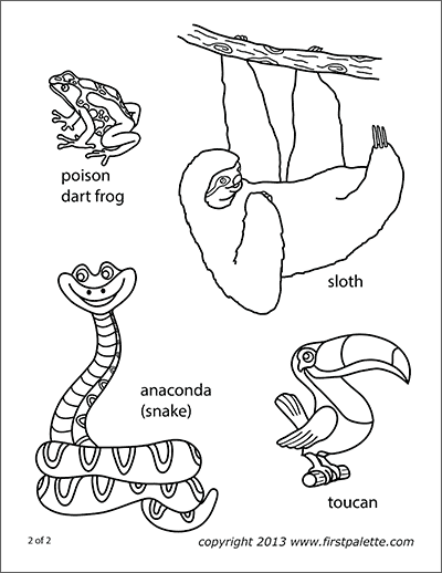Free Print Out Coloring Pages Of Jungle Snake On Branch 3
