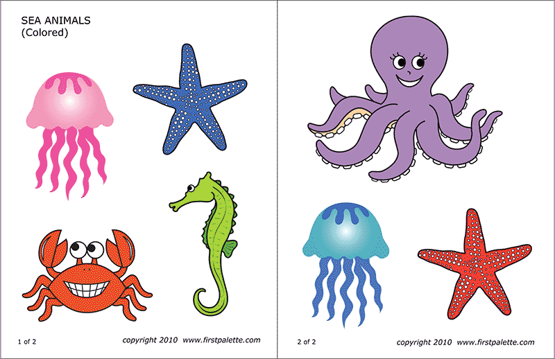 ocean animals pictures printable