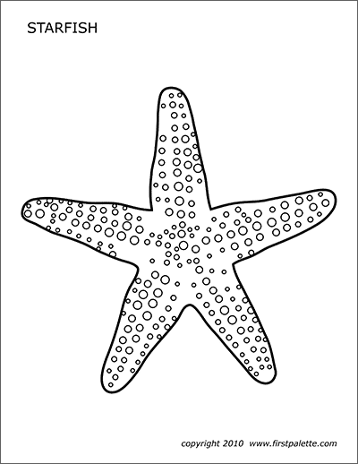 sea star stencil