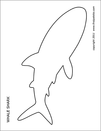 shark outline