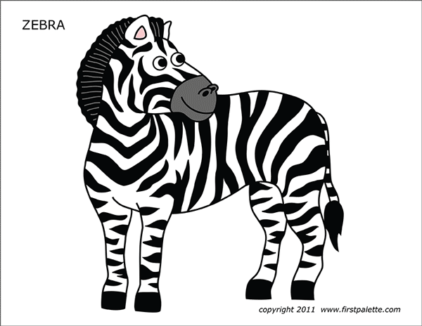 zebra free printable templates coloring pages firstpalette com